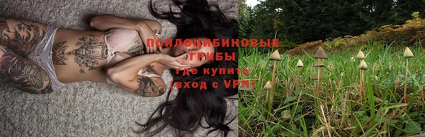 марки lsd Краснотурьинск