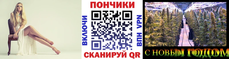 Купить где Гатчина Канабис тримм